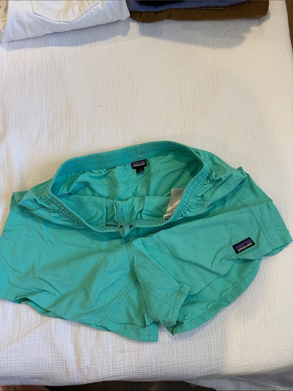 Patagonia Aqua Teal Baggies Shorts